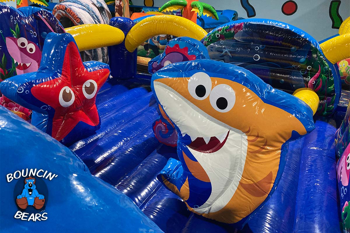 Tiny-Shark-2-(Web-Home)-med